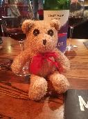 Teddy lost on hadrians wall walk. We think between Beaumont and Kirkandrews on E