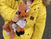 Hello my daughter lost her baby fox yesterday evening. It’s orange and white wit