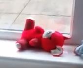 Very sentimental teddy that was given to me as a baby