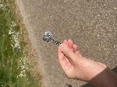 Found a single key near the Serpentine at Hyde park. 