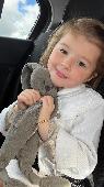 On monday 25 of april we lost the teddy bear of my 4 years old sister in the air