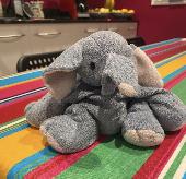 Grey, beanie buddy elephant, 19 years old, very saggy and bundles up to the size