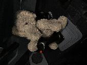 Grey elephant, left behind on the flight deck by two little girls who were visit