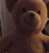 Boris the bear is dearly missed by my asd son and we really want him home if any