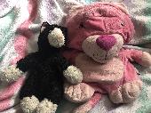 There are two. One of them is a black cat with white paws, and a white muzzle. I