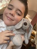 Lost BunnyDog looks cross between a bunny with long ears and a dog, possibly lef