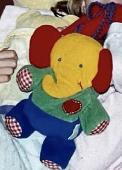 My family and I have been searching for my sister’s childhood elephant since 201