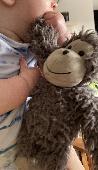 My son has lost his jellycat monkey while we were out for Fathers Day lunch at T
