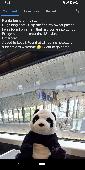 Big panda bear found on the train 