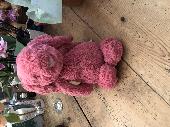Quite large dark pink jellycat bunny found at around 1pm directly opposite Parso