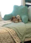 My daughter feels sure she left her stuffed dog in her room at the Best Western 