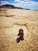 Lost our buddy near Porto Bay Falesia in June 2022. We are still searching for h