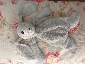 My son lost his cuddly bunny between NYC and Orlando the 29th of june on Delta a