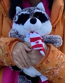 Raccoon toy animal with a Canadian flag / scarf. Lost between LHR terminal 5 arr