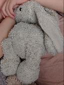 My son lost his stuffed bunny, we were staying at Days Inn Leicester Forest East