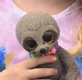 Lost, Dangler the TY sloth wearing a star necklace. We miss him so much. if you 