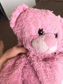 Daughters best friend since three days old. Nearly a year ago my daughter put he