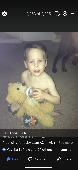 Bear-Bear was lost around a hotel called Yotel, near the Capitol in Washington D