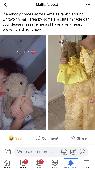 My granddaughter has lost her rabbit from buildabear that’s she has had since bi