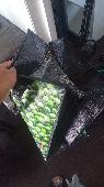 Hi, has anyone seen a green Aldi bag left in Lammas park in Ealing earlier today