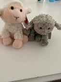 We lost “baby” today a well loved plush lamb toy. We are in Penang Malaysia at t