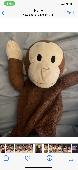 Please please I need to find him! My granddaughter is 5 and she is devastated! H