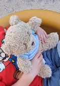 Much loved Teddy lost somewhere in Leamington Spa after taking him for a trip to
