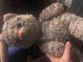 Clearly loved cat teddy, grey and white on the back seat of the plane-to termina