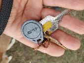 Set of 3 keys with Fermax tag found in Emm Brook park, Wokingham. Has 4 souvenir