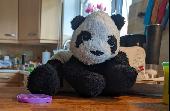 We are desperately trying to find our Son's lost panda teddy that was left on an