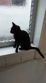 Aged 7 Months Goes By Name Lucy Was last seen on 25th August 2022