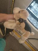 Found alone riding the Circle line from Paddington. Currently in my safe-keeping