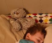 I am writing about our son's lost Teddy Bear. Both me and my wife are 100% convi