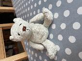 We lost my 5yr old sons favourite bear on the way home from holiday. We think it