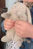 Our 6 year old daughter lost her favourite teddy at the beach - called baby bunn