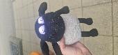 Found a shaun the sheep, the tag says Kyle. I handle it to the Core Library in t