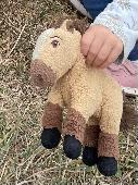 Our daughters pink backpack has been lost. Inside is her favourite cuddly toy ho