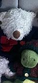 I lost this guy with my phone, and back pack in Paterson, NJ. I posted on Craigs