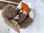 Found bunny with carrot - it came off the top of a car travelling between Clopto