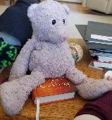 Our well loved teddy bear that was with my daughter through so much was left at
