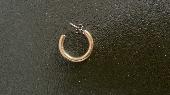 I lost 1 x 3/4 hoop earring, it’s gold plated. Lost either in Peckham rye or aro