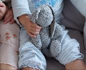 Looking for a well loved grey bunny. Please please please say someone knows wher