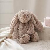 We had a little brown ish bunny jelly cat bunny was here bunny she was born with