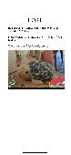 Lost yesterday somewhere in the town of Bridgnorth. There is a reward for his sa