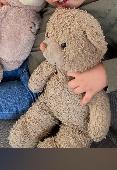 This is a very well loved and adored bear which was lost in Braintree Town Centr