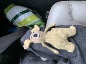 5-6 inch tall yellowish soft toy - was originally a dog but looks more like a ra