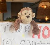 NOW FOUND! BIG THANK YOU TO KIM! Jellycat Monkey dropped somewhere between the M
