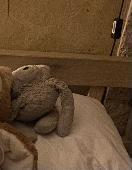 Old white teddy bear around 30-40cm with a pink semi-circle smile and yellow eye