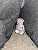 Bear left on the Metro between Whitley Bay and Tynemouth, train bound for St Jam