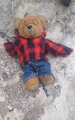 I lost Freddy whilst on a day out in London, travelling on the under and over gr